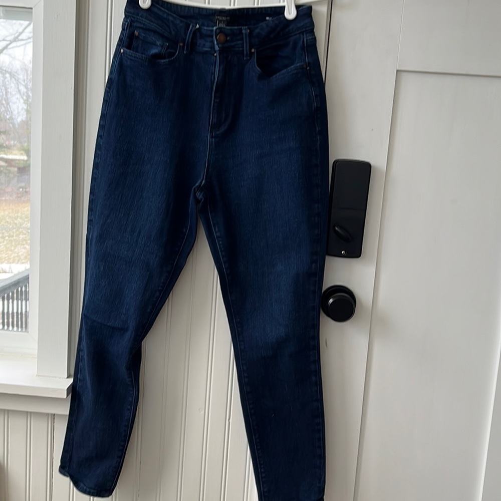 Ann Taylor Factory Jeans